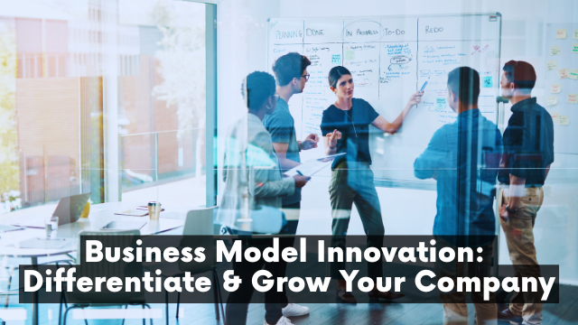 Business Model Innovation: Differentiate & Grow Your Company