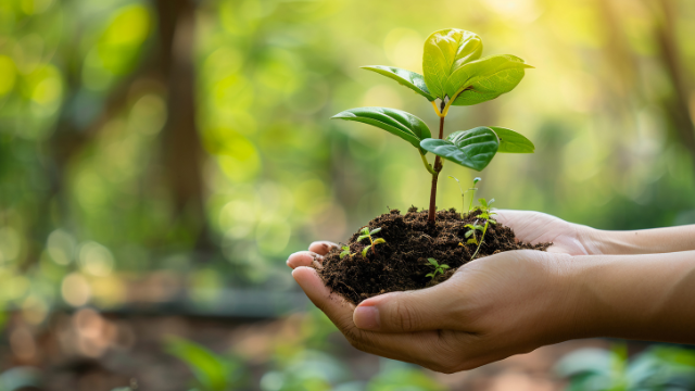 Collaboration & Community Impact